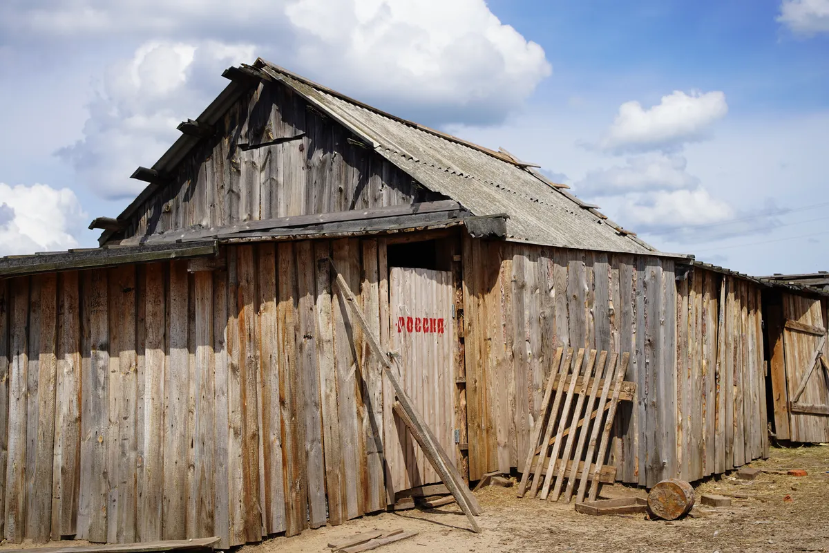 В совхозе «Маяк»