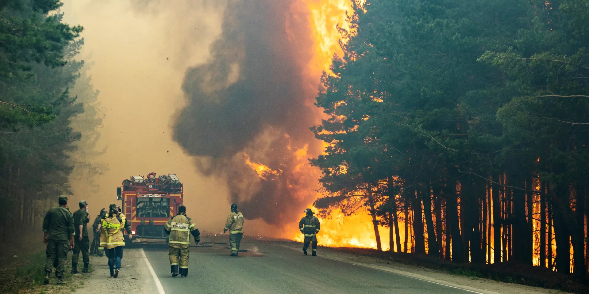 «Если ситуацию с пожарами не переломить, мы будем гореть ещё больше»