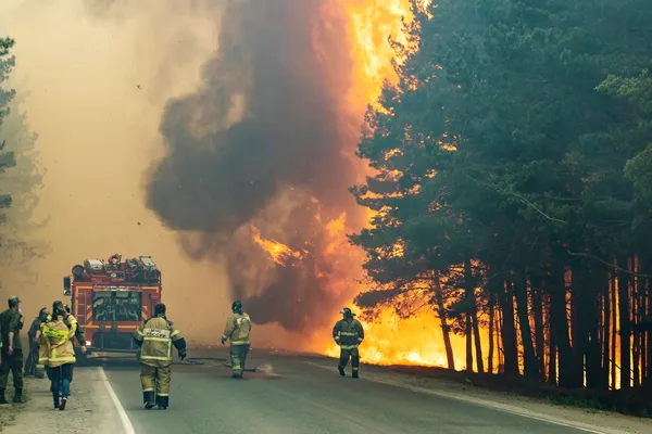 «Если ситуацию с пожарами не переломить, мы будем гореть ещё больше»