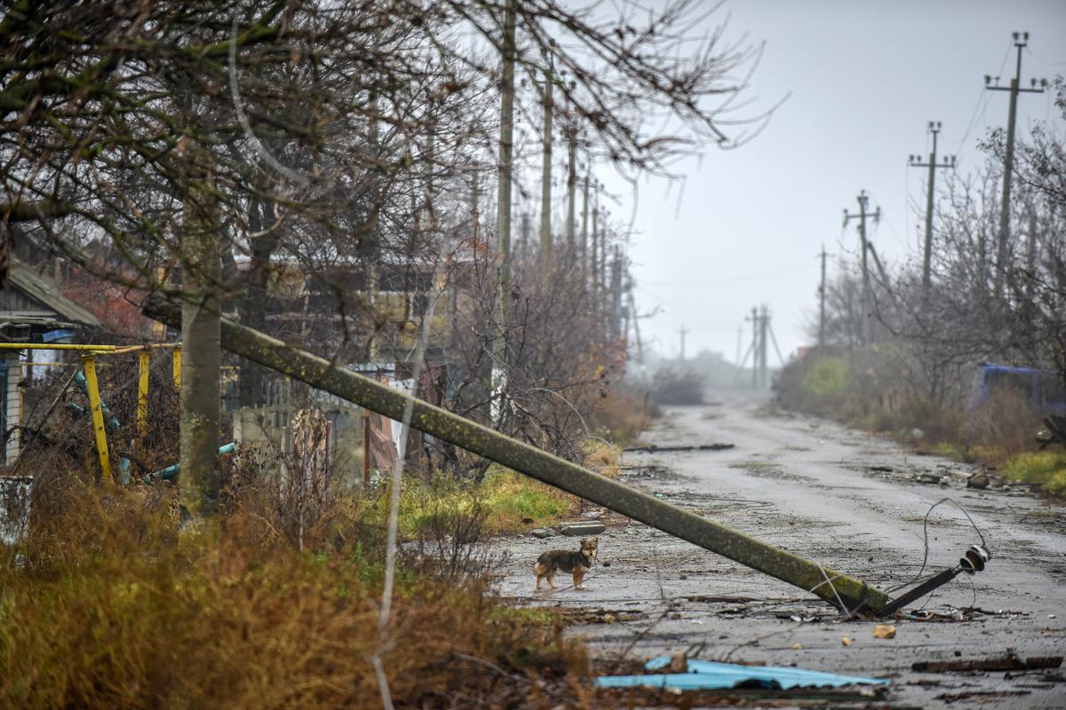 Упавший столб линии электропередач