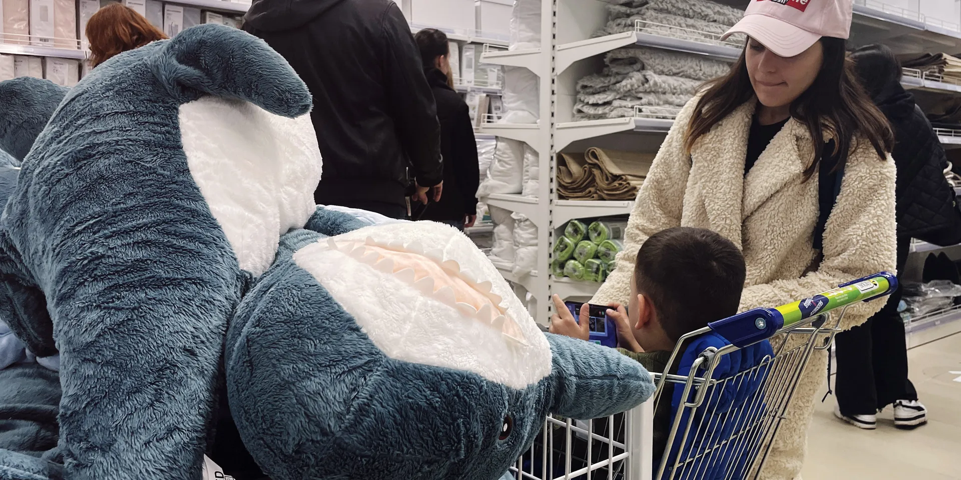 Как работают санкции. Россия смогла заместить лишь четверть потерянного  импорта