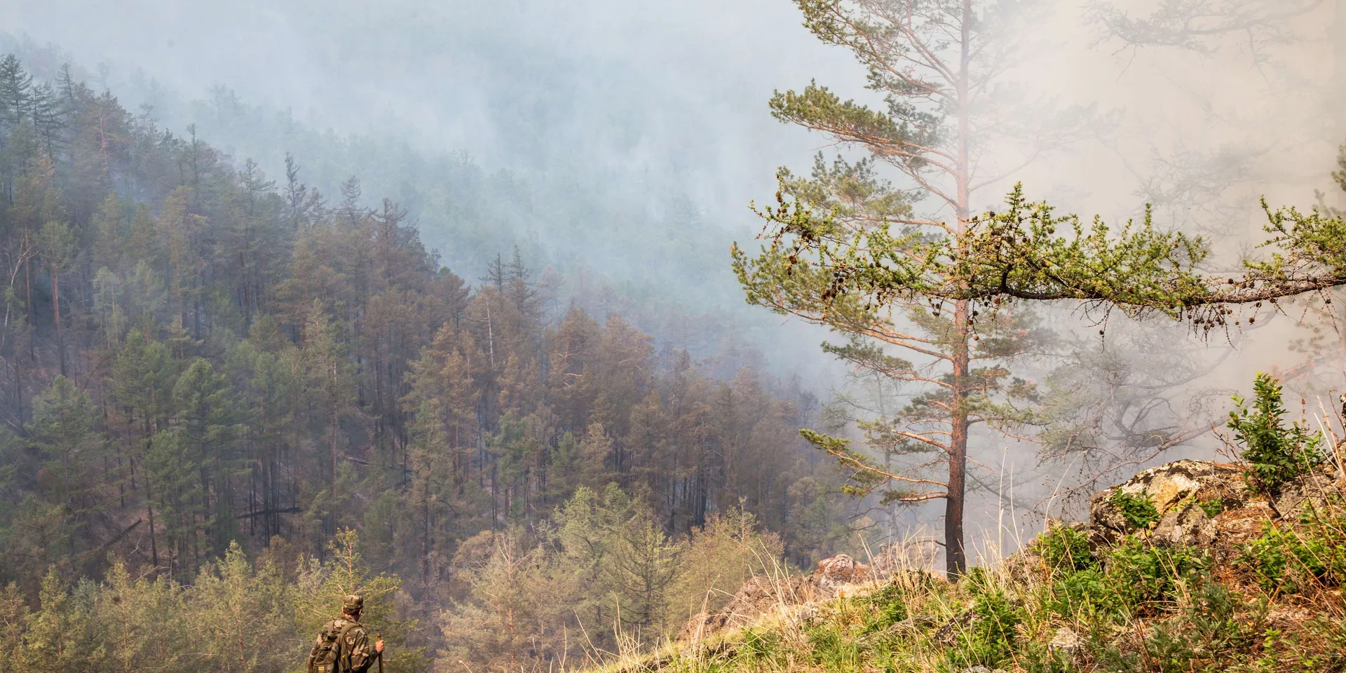 Госдума хочет разрешить рубки в экологической зоне Байкала. Против этого боролся признанный «нежелательным» Greenpeace