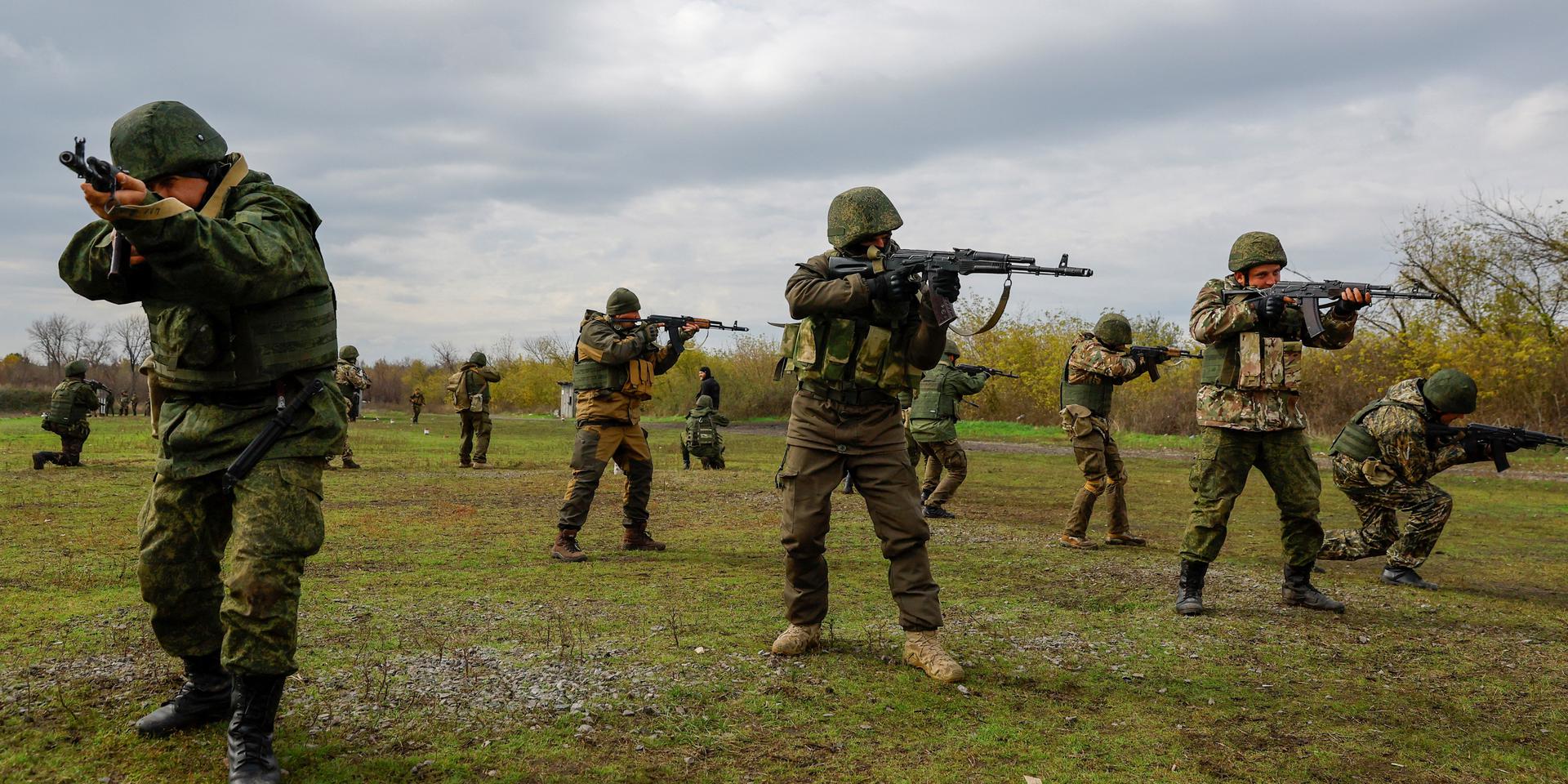 Год войны: две армии