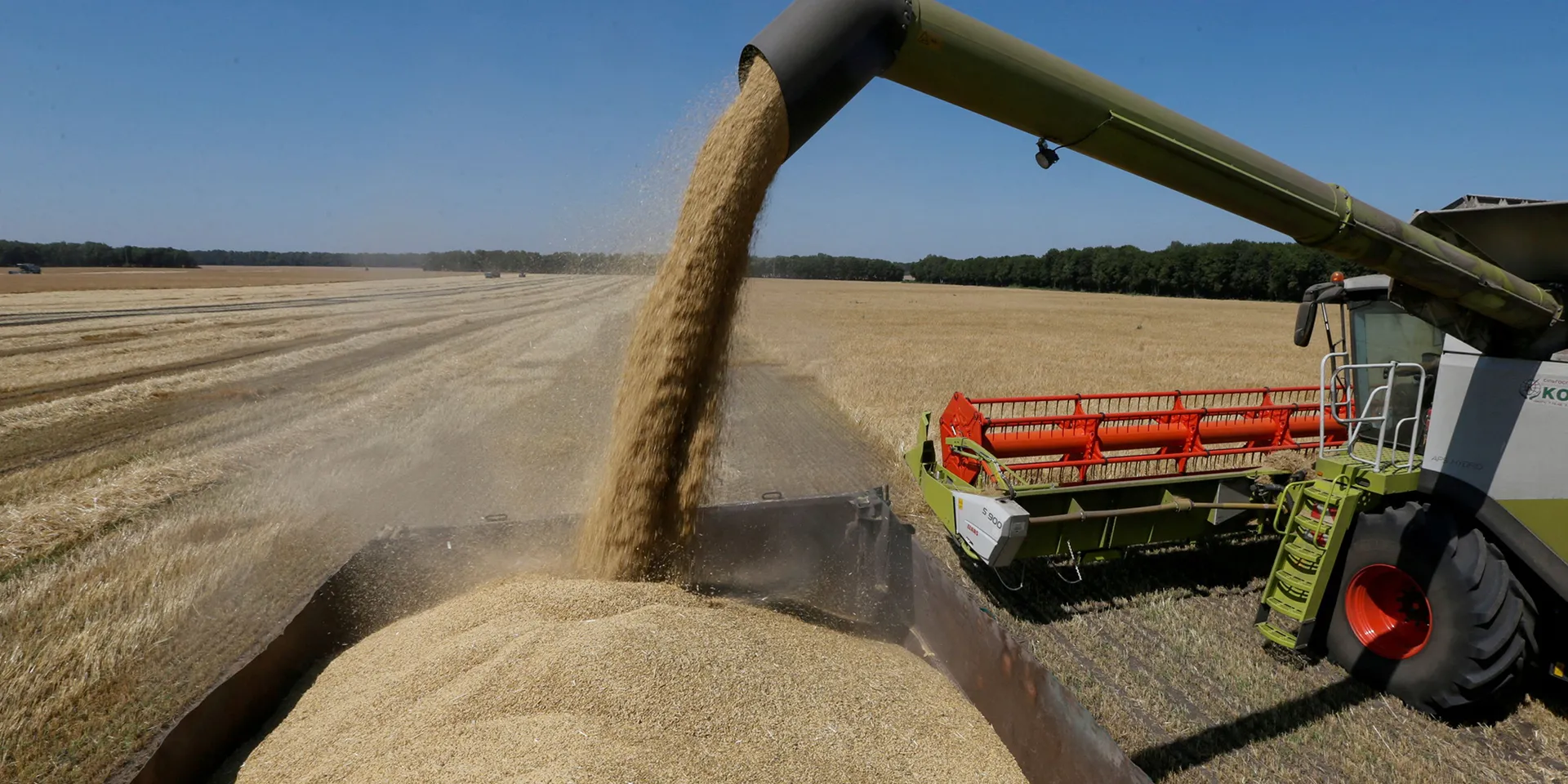 Первая зерновая война