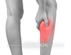 Calf Pain  Veins/Nerve Problem