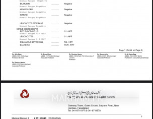 Is This Report Is Fine Or Not