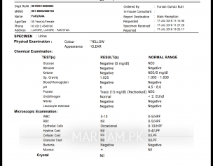 17mm Stone In Kidney
