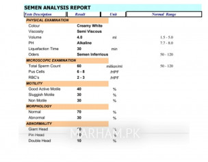 Semen Analysis Report