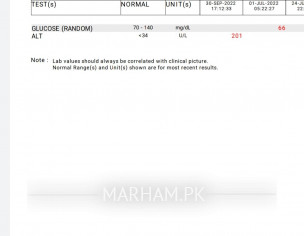 High ALT In 23rd Week