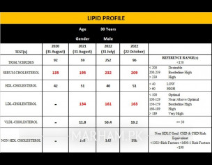 Lipid Profile Report