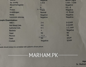 UTI And Poor Sperm Motility