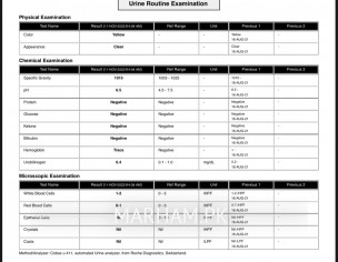 Please Review My Report