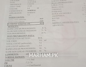 Acic Reports Analysis