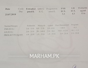 Acic Reports Analysis