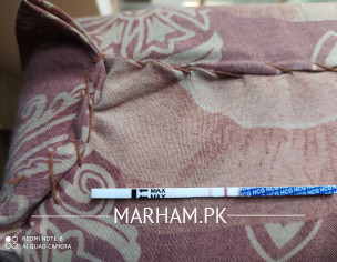 Pregrancy Strip Test