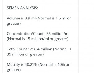Semen Analysis