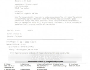Please Check This Biopsy Report