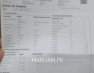 Semen Analysis