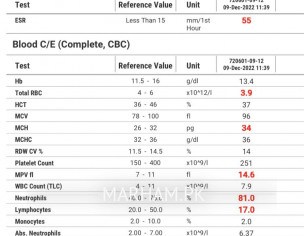 Tests Done For Skin Allergy