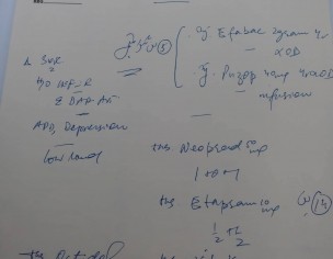 Blood Vomiting,HP C,