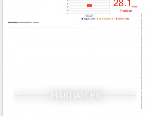 H.pylori IgA Test Report 