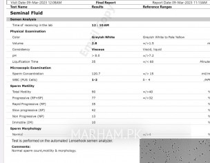 Semen Analysis Report