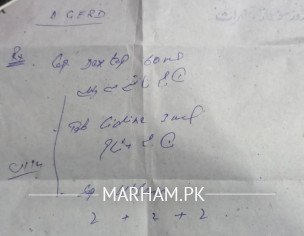 Stomach And Gastric Issue