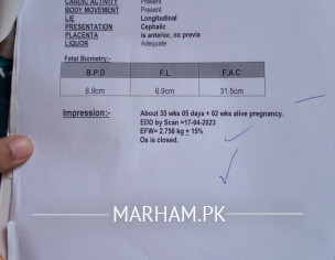 Asking To Radiologist