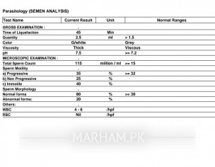 Semen Analysis
