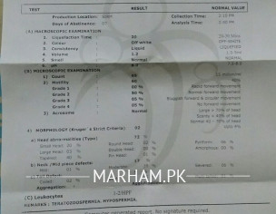 Reports Check