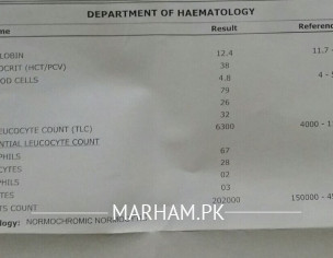 Reports Check