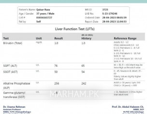 Liver Function Test