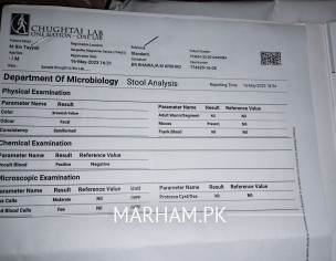 Stool Analysis Report