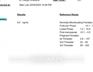 Test Report - For Conceiving