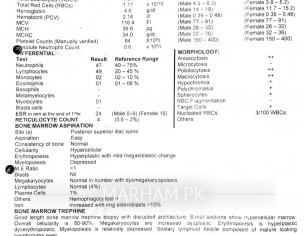 BONE MARROW AND OTHER TESTS