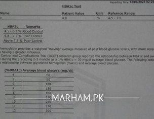 Lab Report
