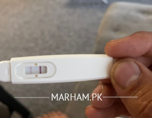 Pregnancy Test