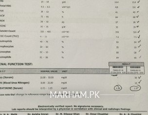 High Creatinine 