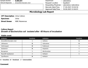 E Coli UTI / Nephrologist