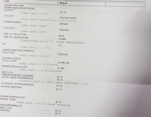 Semen Analysis