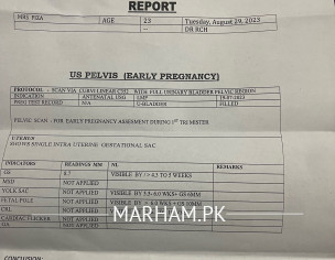 Earlg Pregnancy Scan 