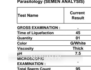 Semen Analysis