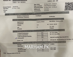 Check My Semon Analysis Report 