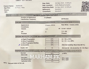Check My Semon Analysis Report 