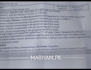 Miscarriages History 