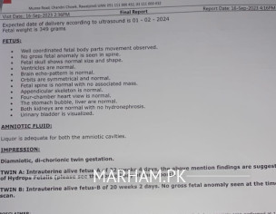 Anomaly Scan-Gynecologist