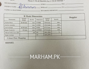 Please Read My Question 