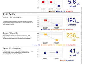 L.F.T Reports Values