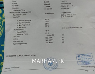 Seman Analysis Report