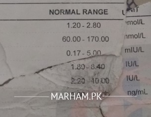 Endocr. Rprts Plz Guide.